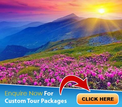 Uttaranchal Tour Packages